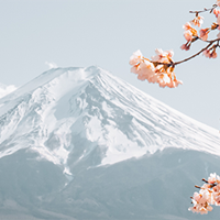 Japan Schools Guide