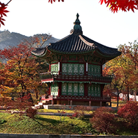 South Korea Schools Guide
